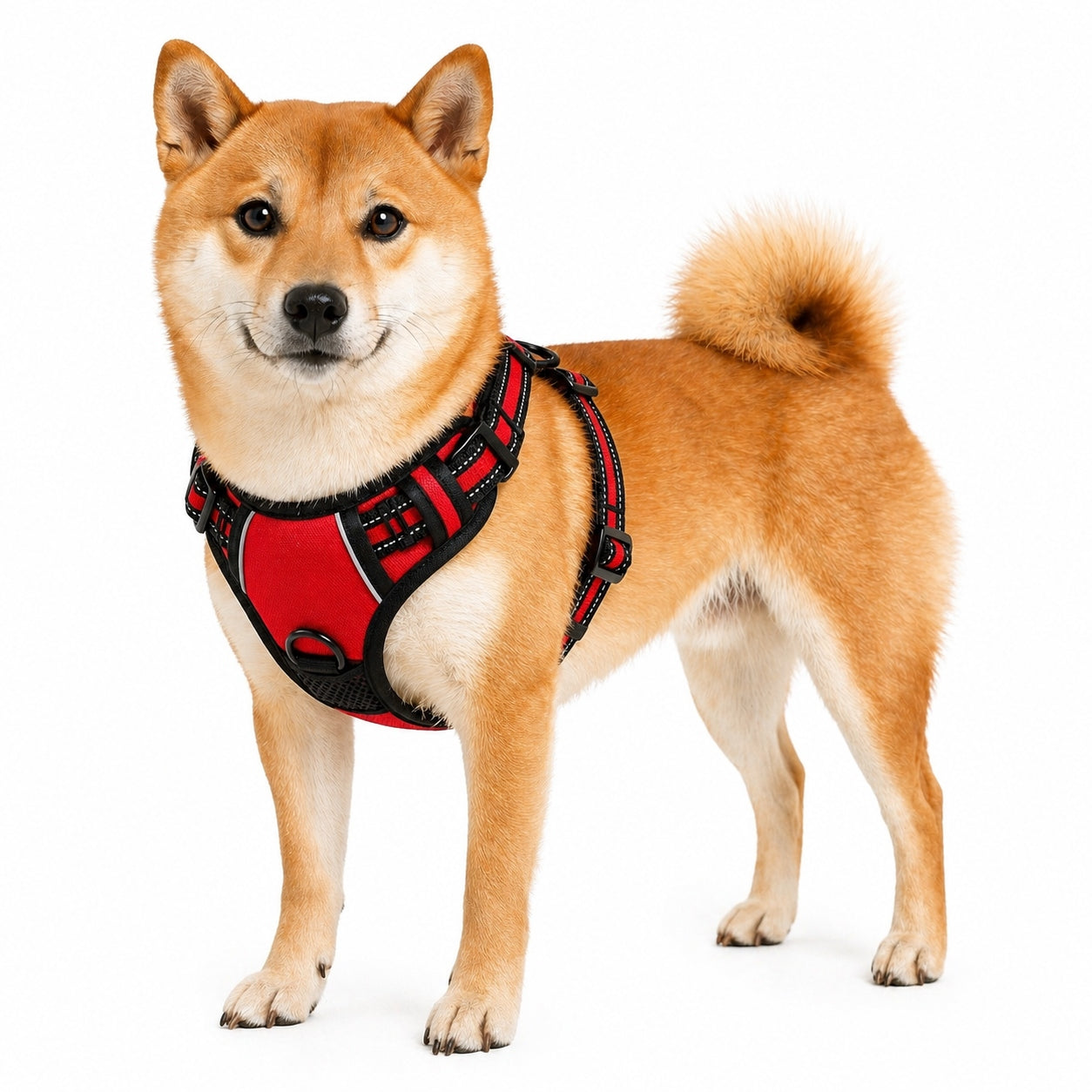 BRACES large dog PRESSURE-FREE red GUARD XL 53-96cm Golden Shepherd Brand PET GANG