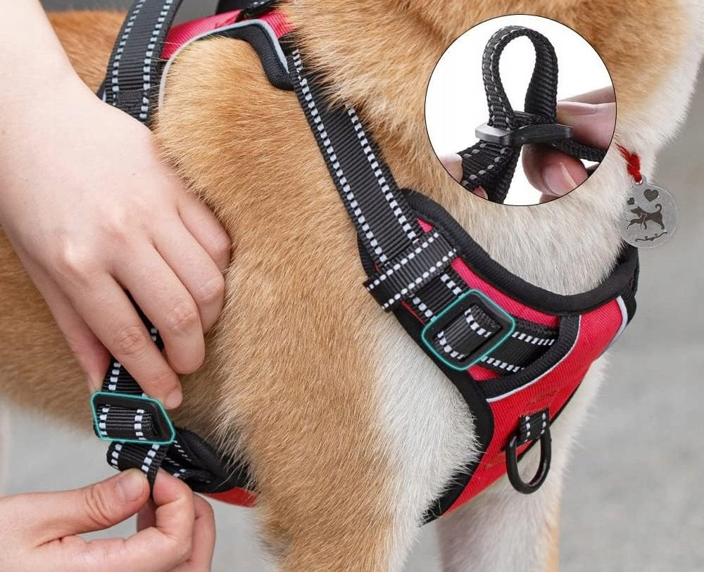 BRACES large dog PRESSURE-FREE red GUARD XL 53-96cm Golden Shepherd Kind walking harness