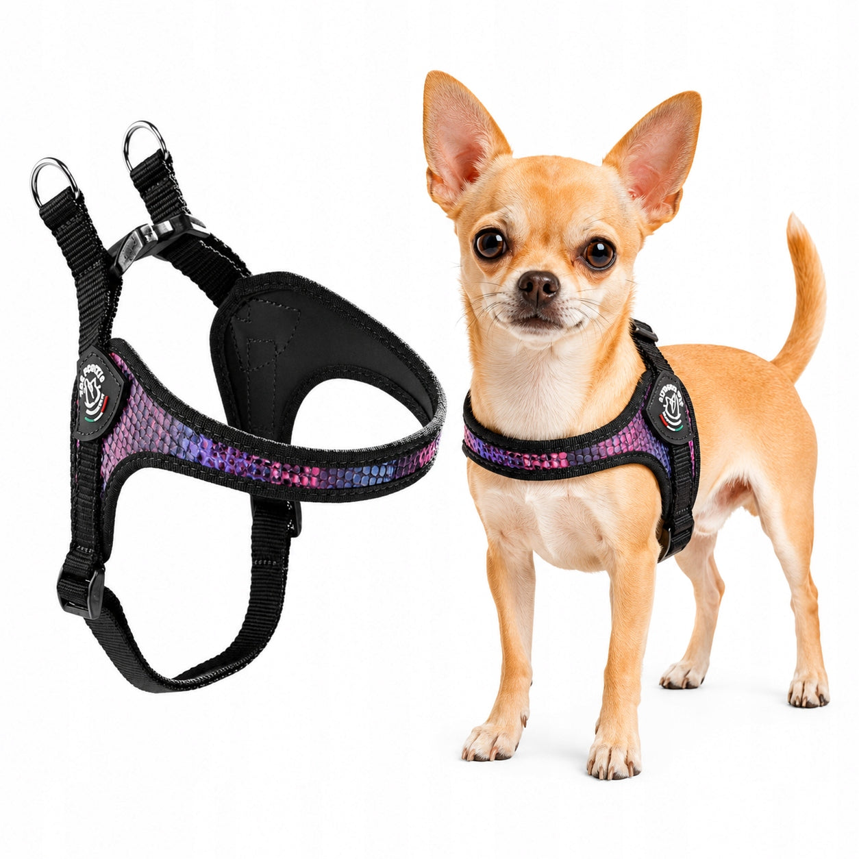 BRACES mini dog York, Chihuahua 32-45cm TRE PONTI Python size. 1