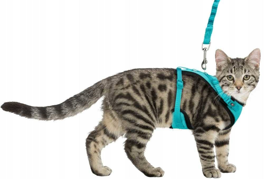 BRACES with LANYARD for Cat Pressure-Free Adjustable TRIXIE Y Mesh 39-60cm/10mm Brand Trixie