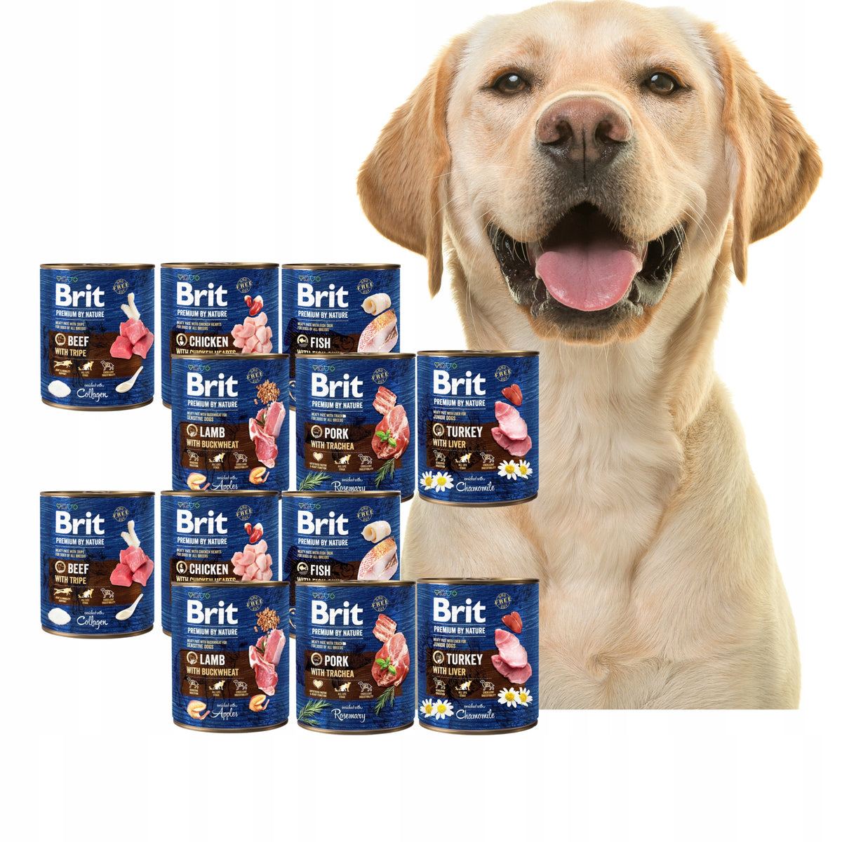 BRIT PREMIUM BY NATURE 12X800 MIX OF FLAVOURS