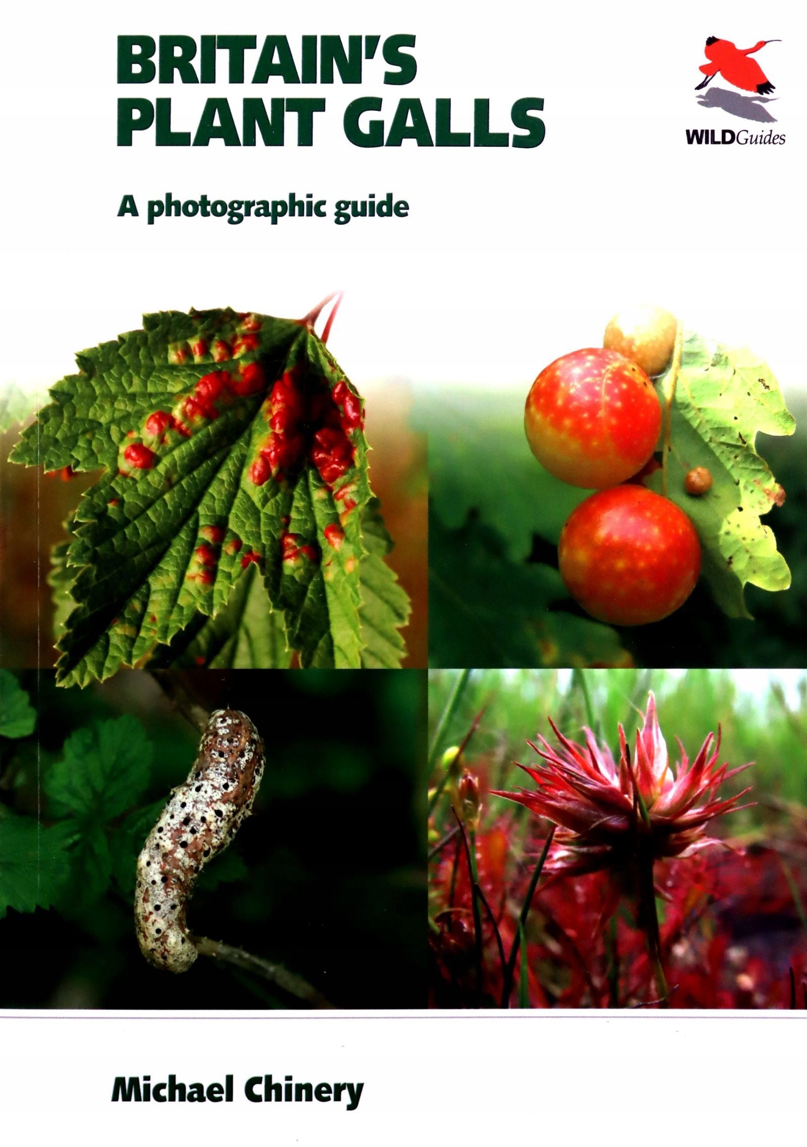 Britain`s Plant Galls - A Photographic Guide: A Photographic Guide