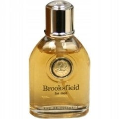 BROOKSFIELD FOR MEN 100 ML EAU DE TOILETTE MEGA UNIQUE
