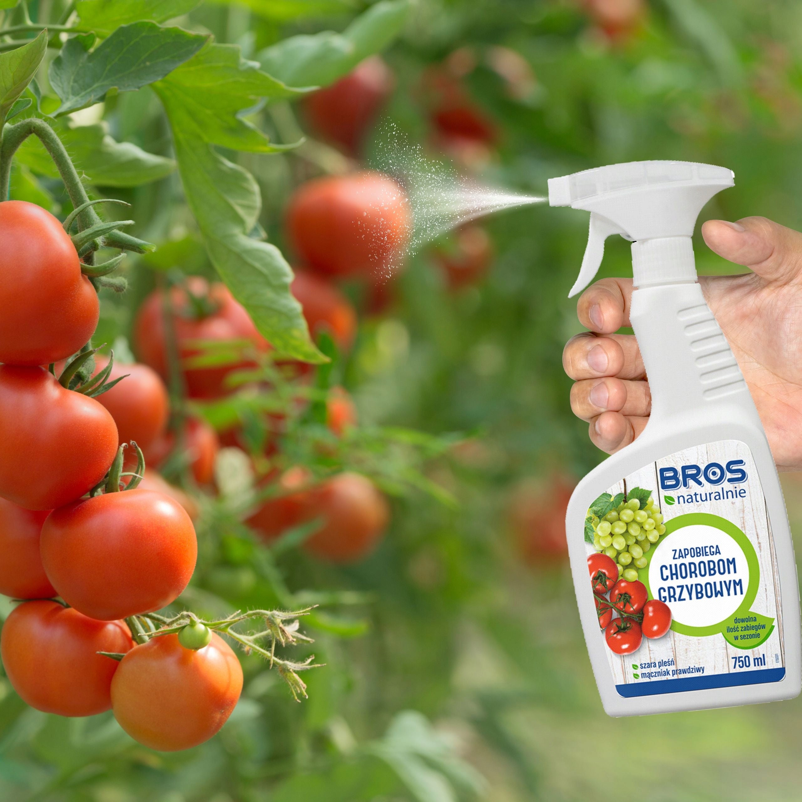 BROS NATURALLY PREPARATION AGENT FOR FUNGAL DISEASES FUNGUS MOLD 750ML Form liquid