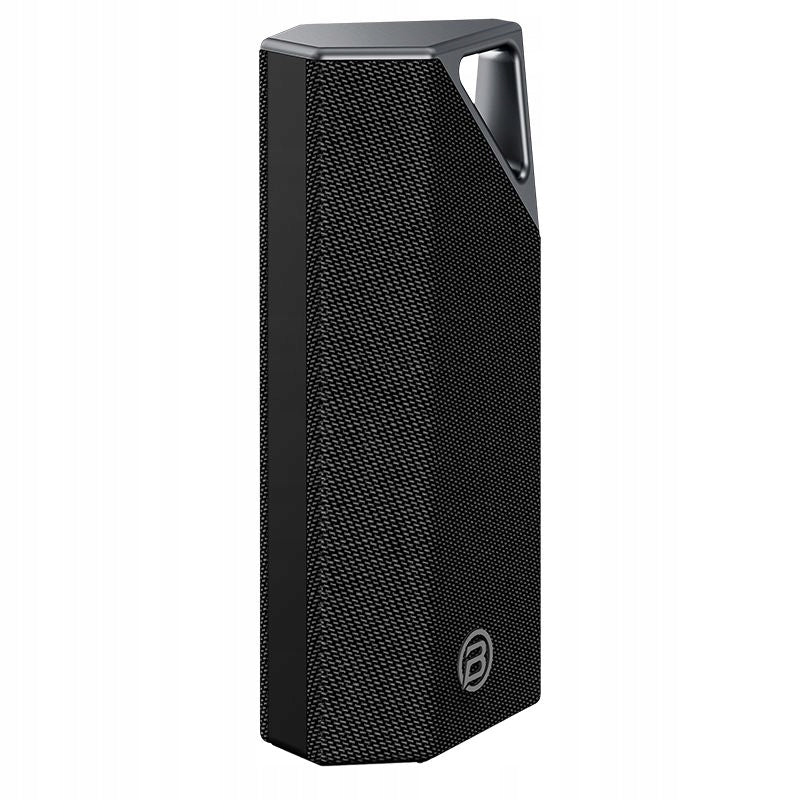 BUGANi Brief Bluetooth reproduktor Black+Silver Model other