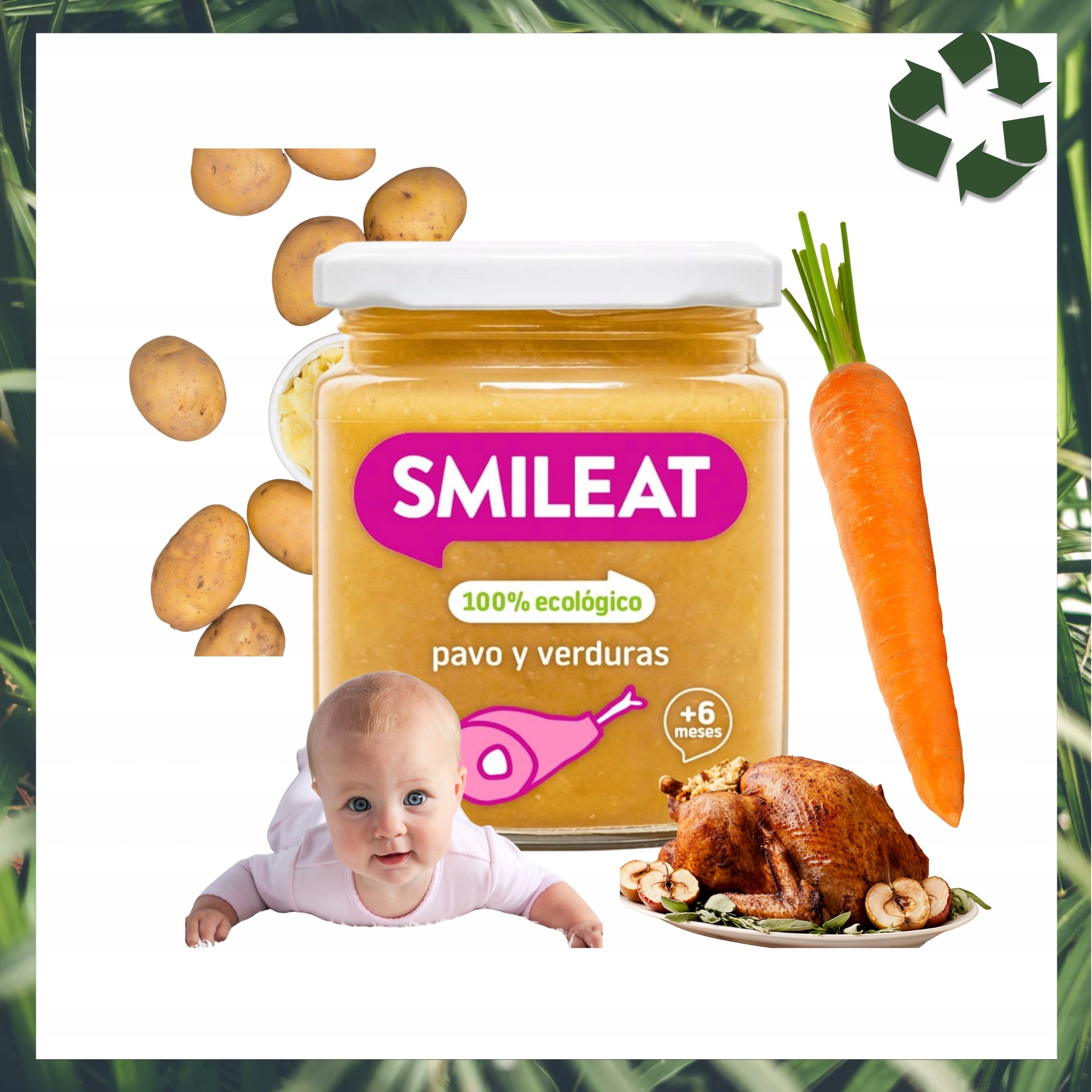 Baby Lunch Turkey With Vegetables Bio Organic Jar 6m+ 230 G EAN (GTIN) 8437014583083