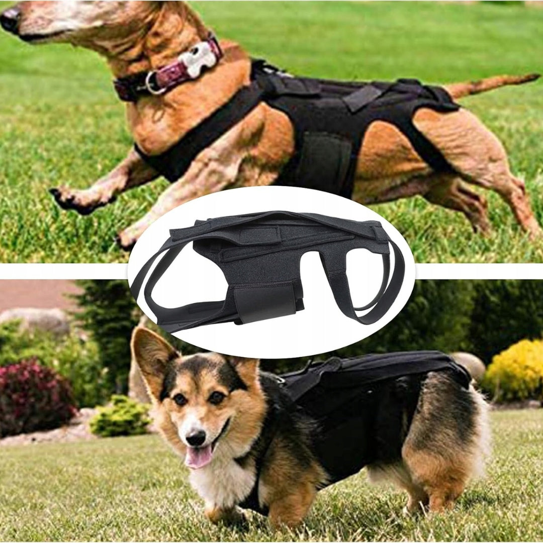 Back Support Belt for Dog Orthosis Rehabilitation Dogs Roz. M BLACK Manufacturer code Black M