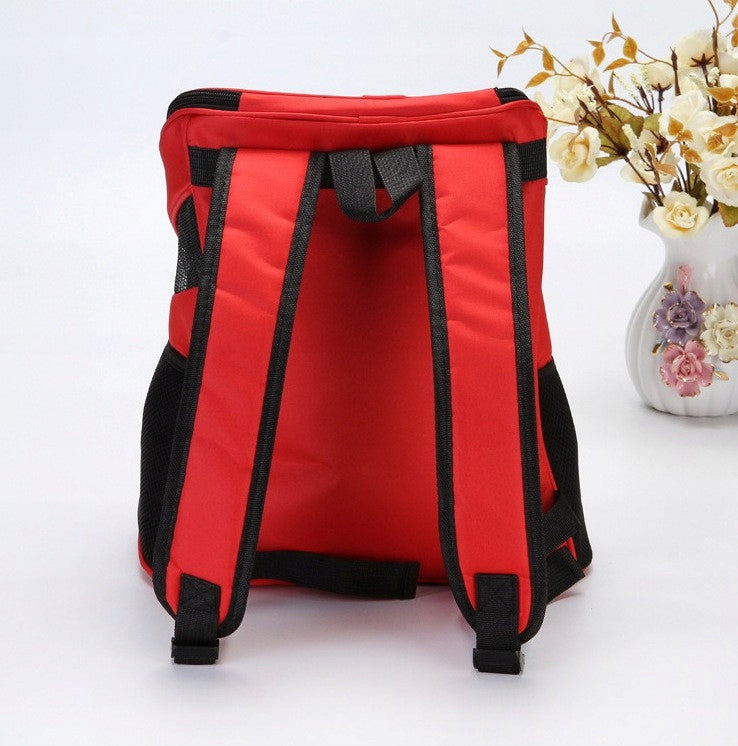 Backpack for transporting animals - cats, dogs, blue JA002 Product height 35 cm