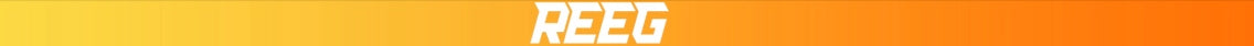 Bag pouch for electric scooter REEG 4L Kind universal
