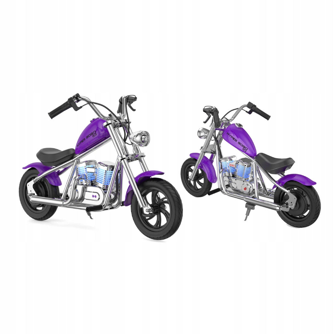 Bak Fuel and Mudguards for Hyper Gogo Cruiser - PURPLE Packaging status original