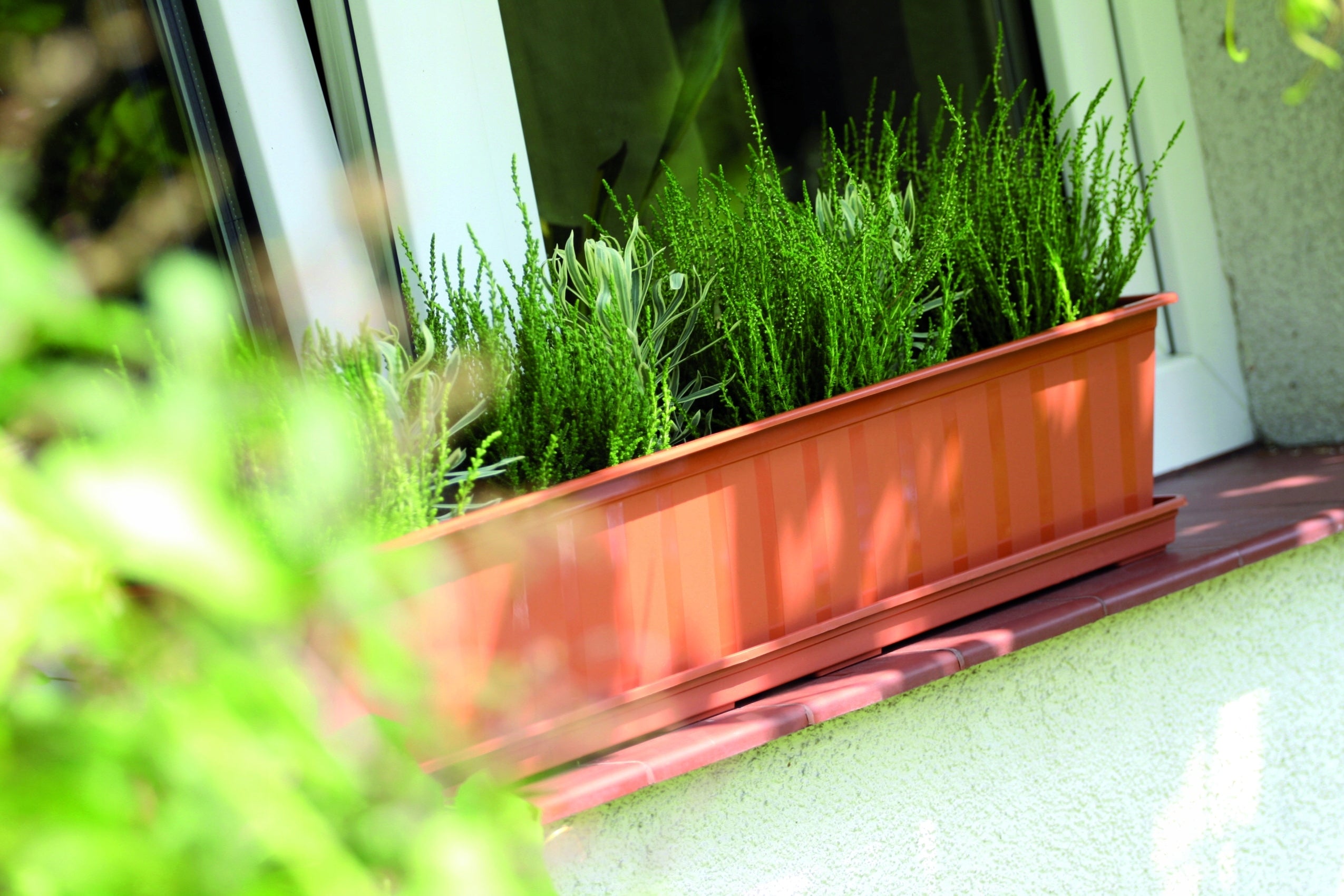 Balcony box AGRO IS500 Window sill pot Brand Prosperplast