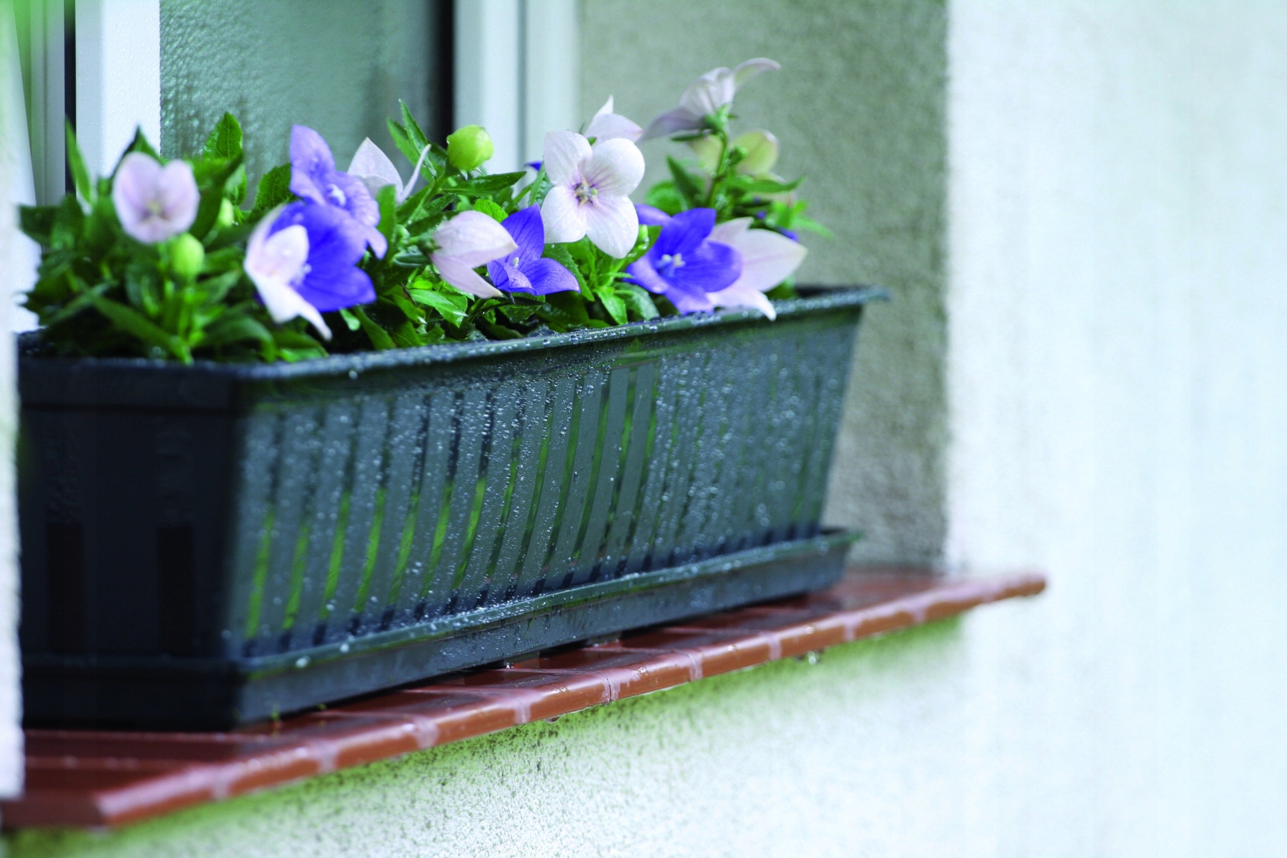 Balcony box AGRO IS500 Window sill pot Product height 14 cm