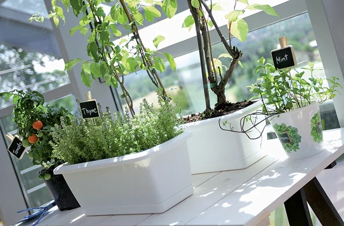 Balcony box with stand Respana Set ISE600P anthracite Prosperplast Manufacturer code ISE600P_208