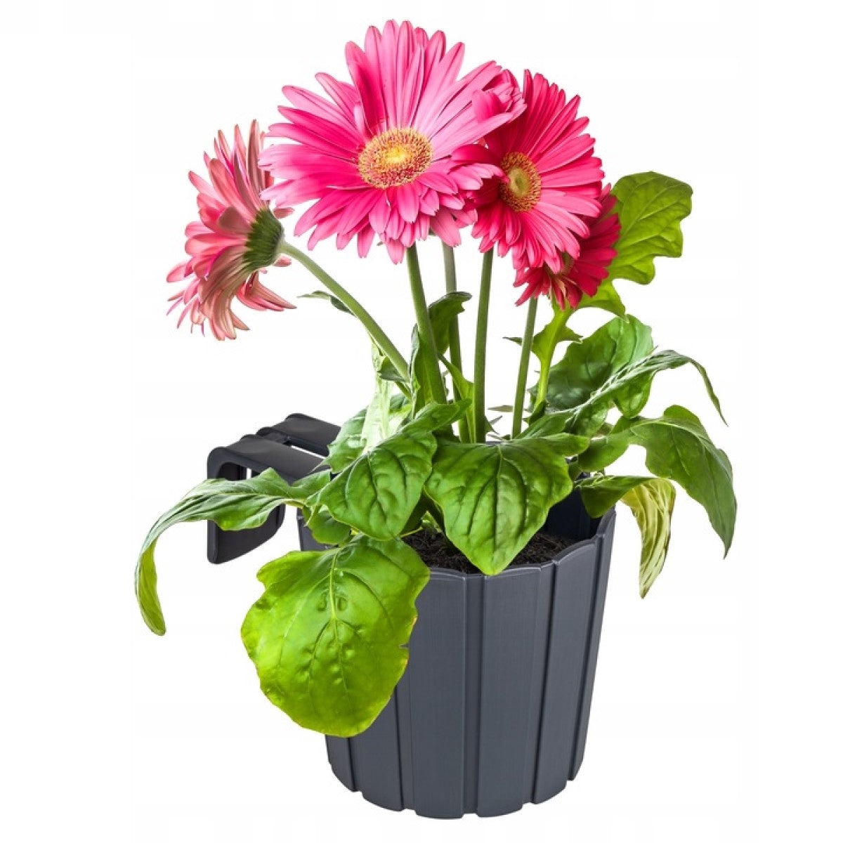 Balcony pot for RAILING HANDRAIL WITH HOOK PLANTER ANTHRACITE RUSTIC Material synthetic material