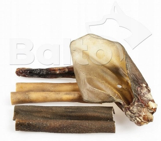 Balto Long Chewing Teether Set 6pcs Volume 0.1 ml
