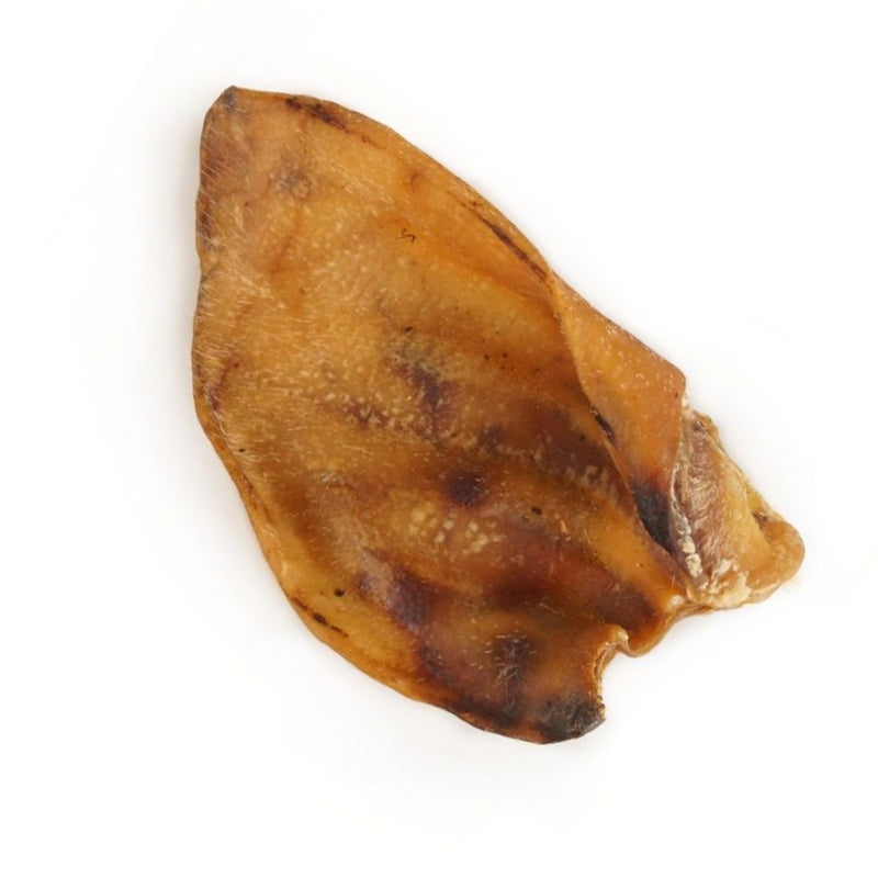 Balto Pork Ear - 1 Piece - Bulk - Natural Teether
