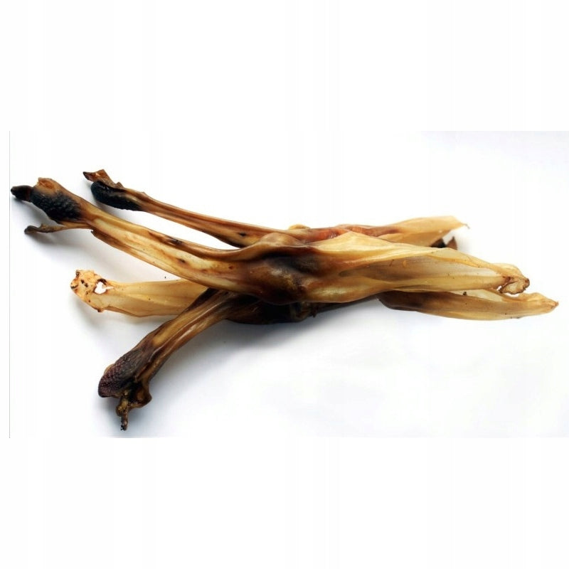 Balto Rabbit Ear - Pack of 10
