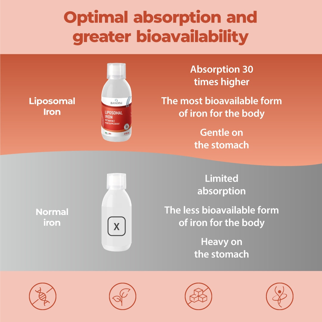 Bandini Liposomal Iron + Vitamin C - High Dosage and Absorption 250ml Brand no brand