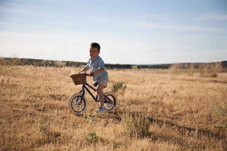 Banwood FIRST GO! balance bike navy Frame steel
