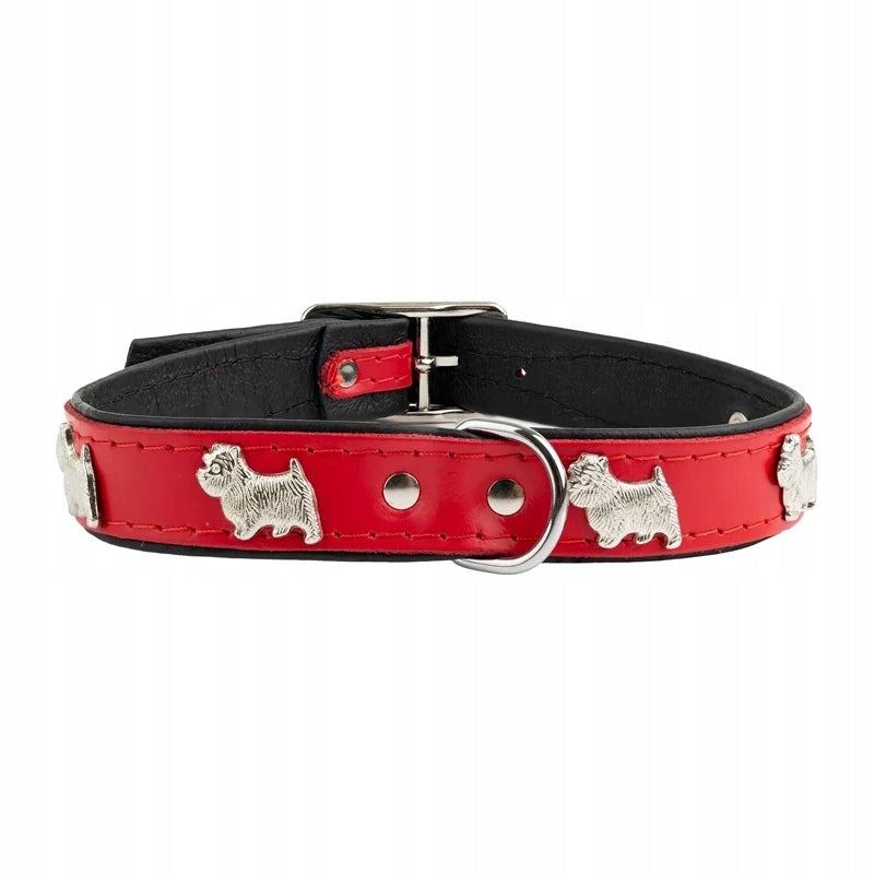 Barry King Dog collar pattern dog westy 20mm/45cm red
