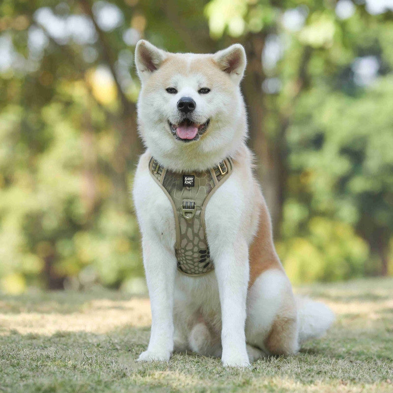 Barry King Dog harness green camo material Oxford M 40-72 cm Manufacturer code 5904479186331