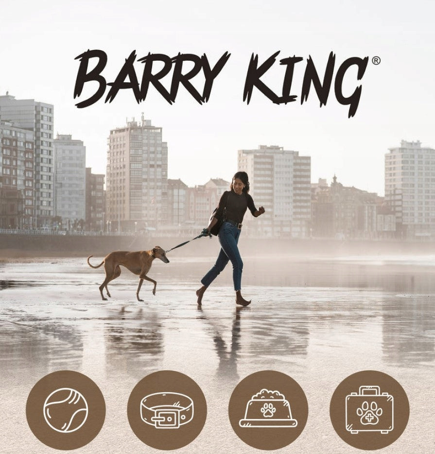 Barry King Electric Comb Against Fleas for Dogs 16x8,5x3cm Manufacturer code BK-14027
