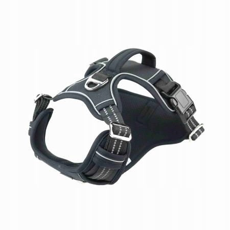 Barry King Oxford L harness black