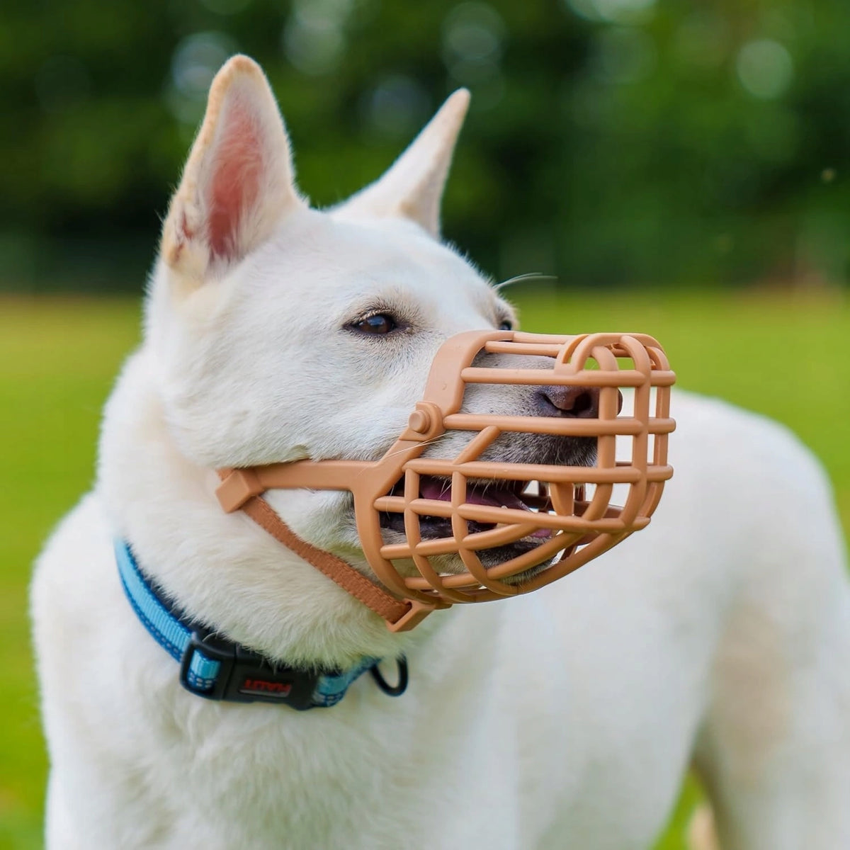 Baskerville Classic Dog muzzle 9 Beige 34cm Brand Baskerville