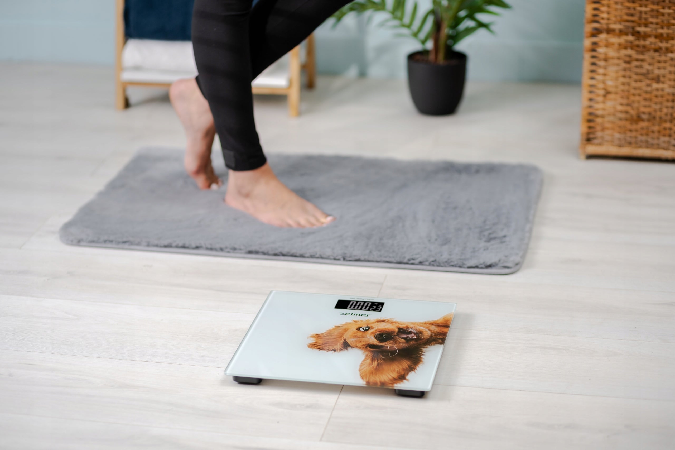 Bathroom scale Zelmer ZBS1010 max 180kg Brand Zelmer