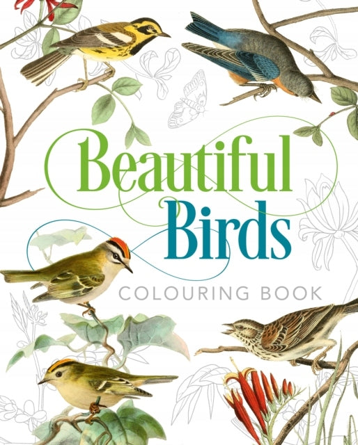 Wunderschönes Vogel-Malbuch 