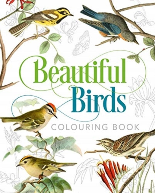 Wunderschönes Vogel-Malbuch 