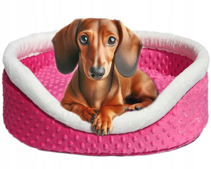 Bed bed playpen for dachshund pug Pekingese Color multicolor