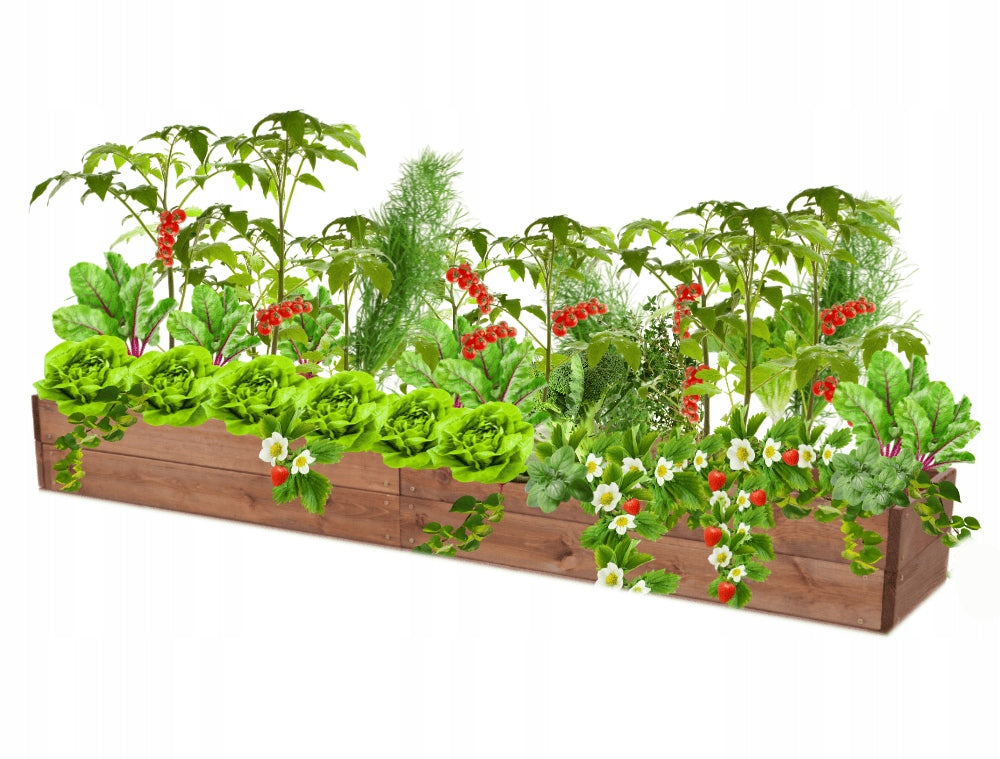 Bed raised chest for grocery store inspectorate impregnation 18x200x30 Packaging status original