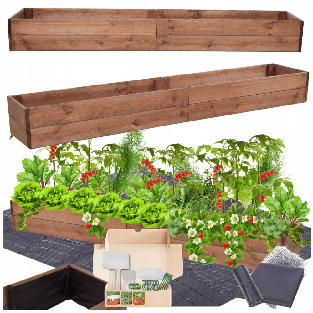 Bed raised chest for grocery store inspectorate impregnation 18x200x30