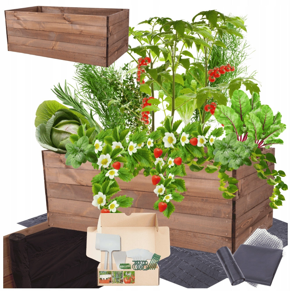Bed raised vegetable garden chest inspection planter impregnation 45x120x80