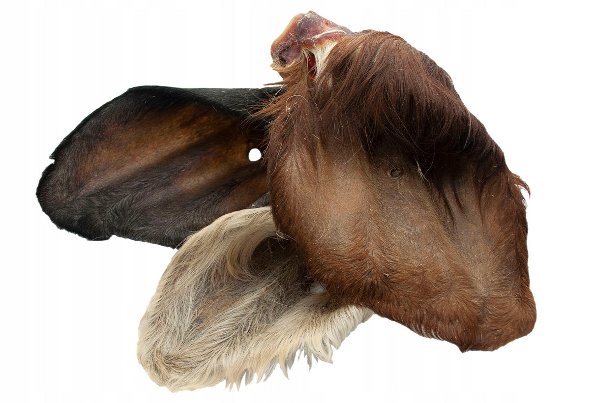 Beef EAR with fur XL natural dog teether 20pcs