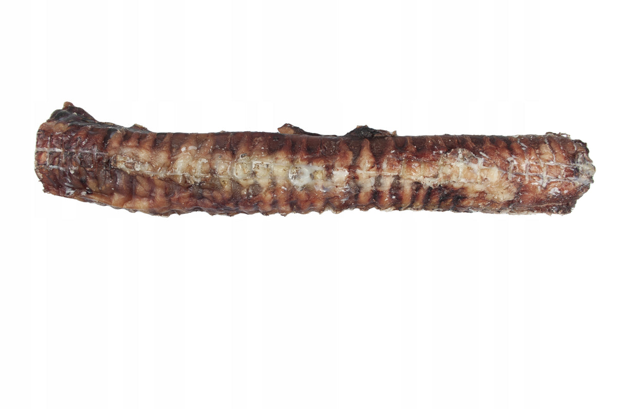 Beef Trachea NATURAL teether PREMIUM 35cm 1pcs Flavor beef