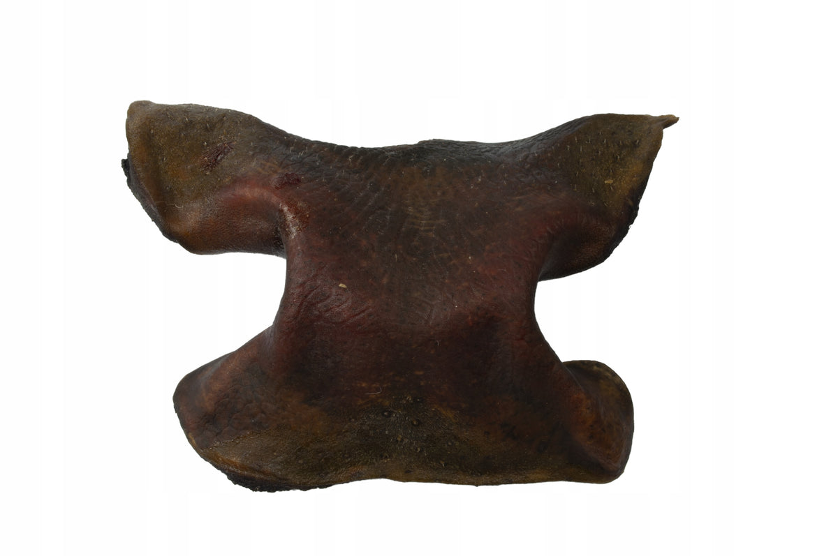 Beef nose NATURAL teether PREMIUM 1 KG Flavor beef