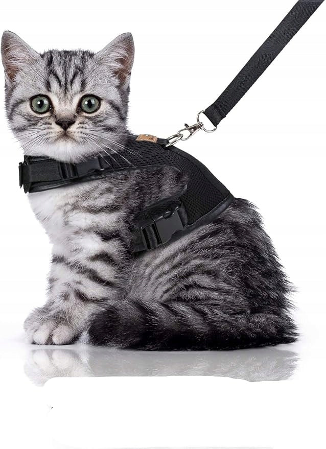 Bella & Balu harness cat harness with leash size. S black