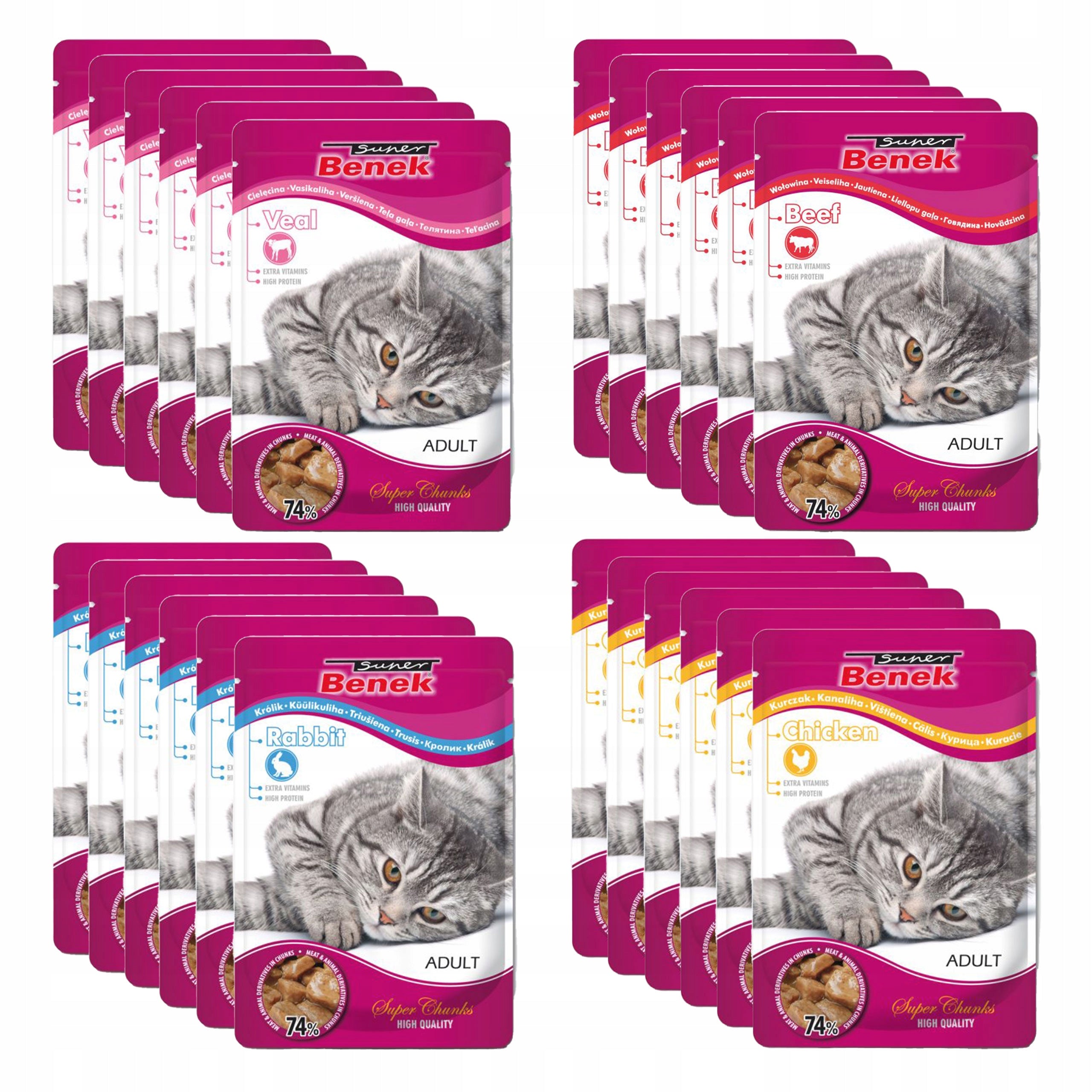 Benek sachet wet cat food mix of flavors 24x100g