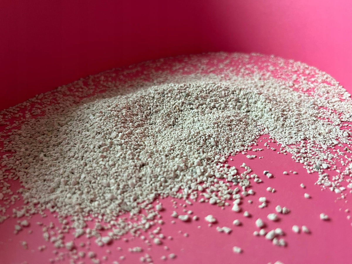 Bentonite Cat Litter Jingo 5l Scent Baby Powder Packaging status original