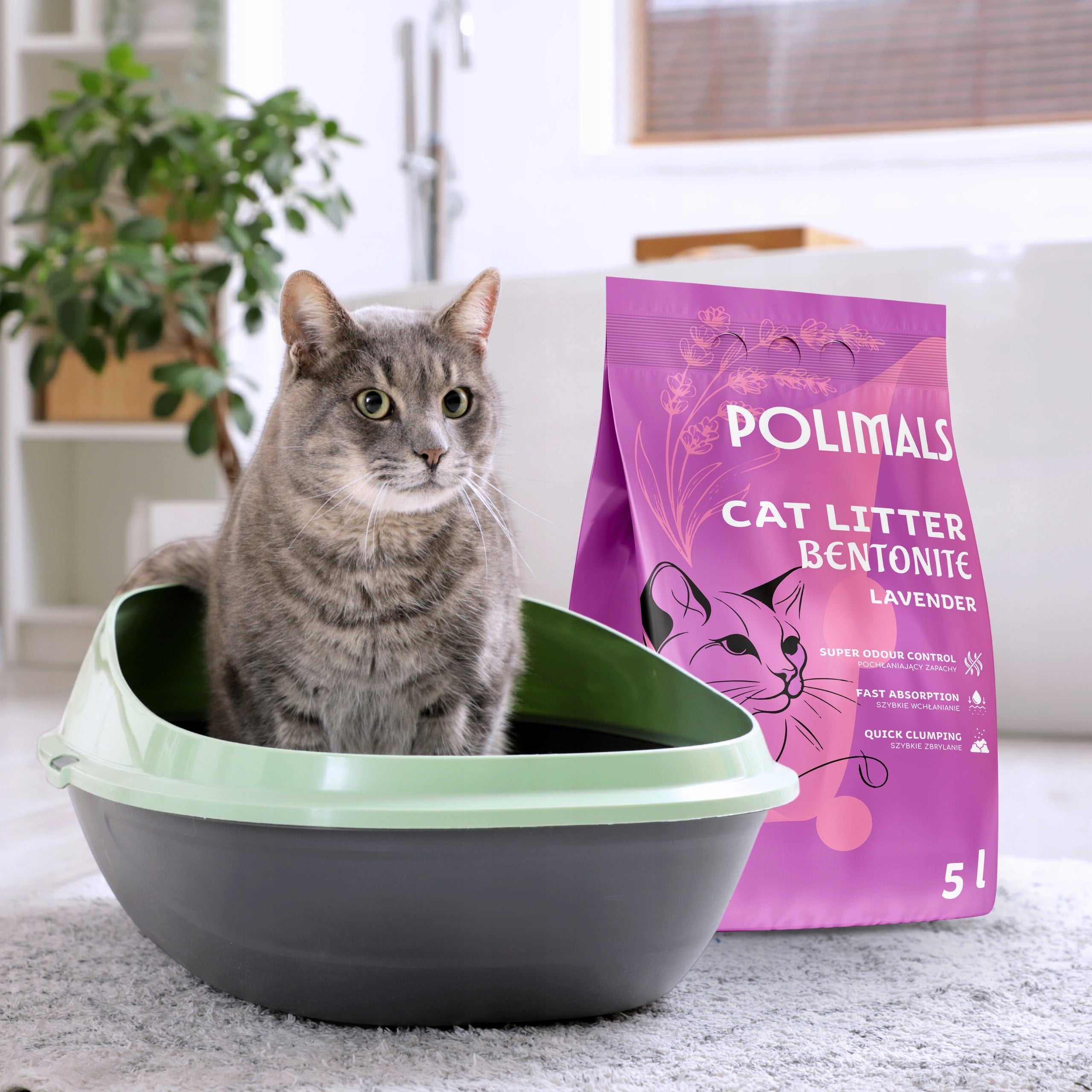 Bentonite Litter for Cat Compact Lavender Polimals 5 L fine-grained Product weight 5 kg