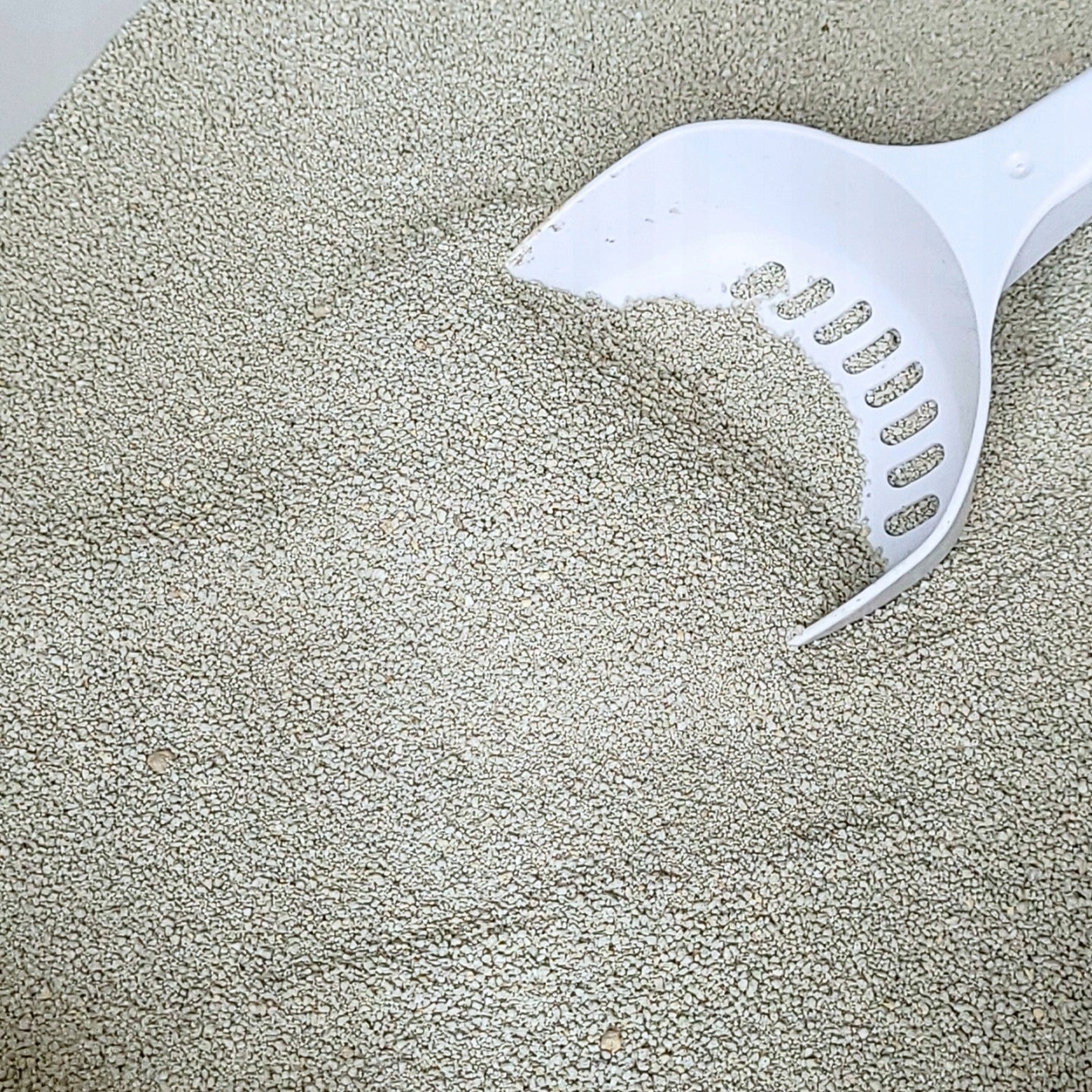 Bentonite cat litter 2x5L mykotty clumping dust-free fine Trade name W KUPIE SIŁA