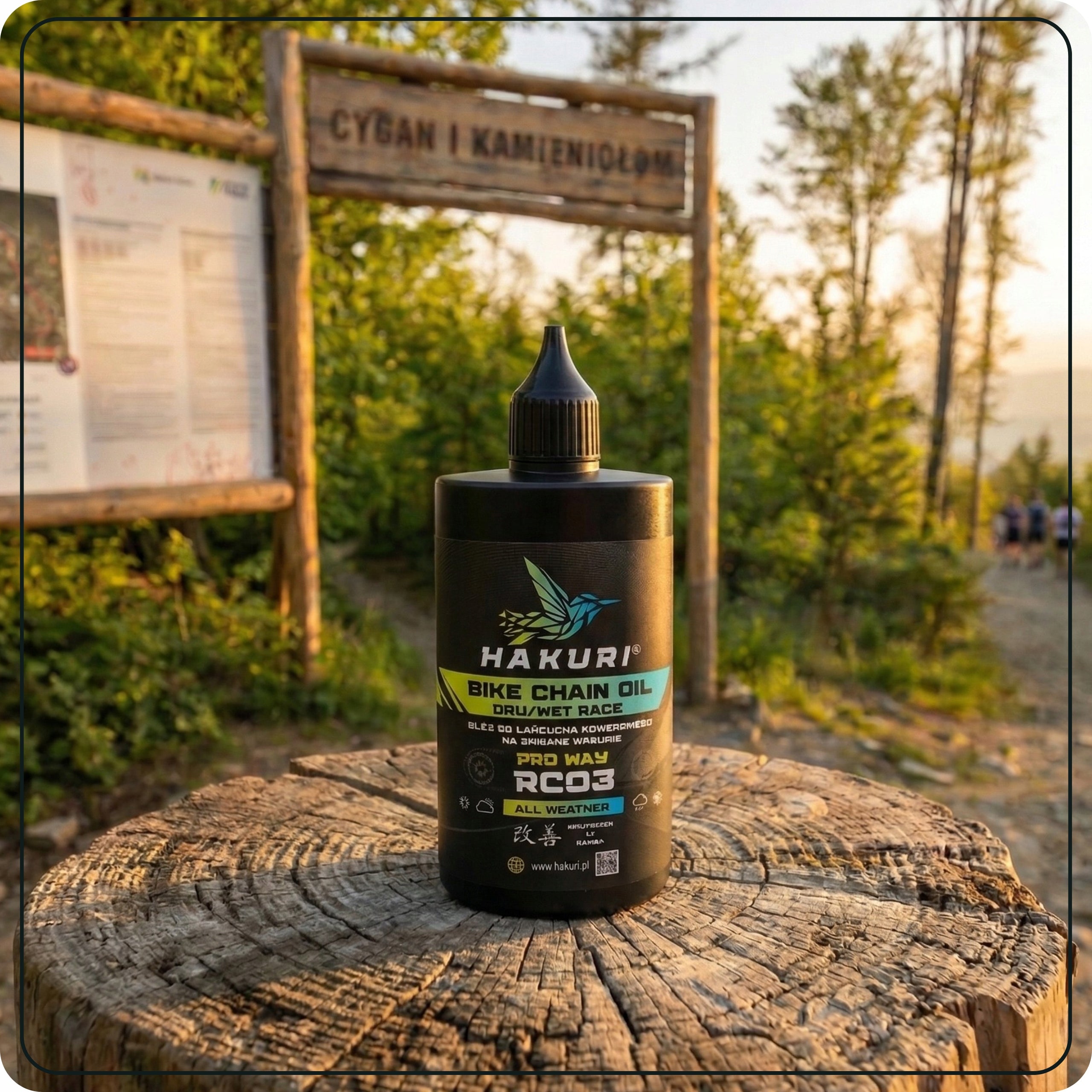 Bicycle Chain Lubrication Oil Variable Conditions Protects Against Corrosion For for chain