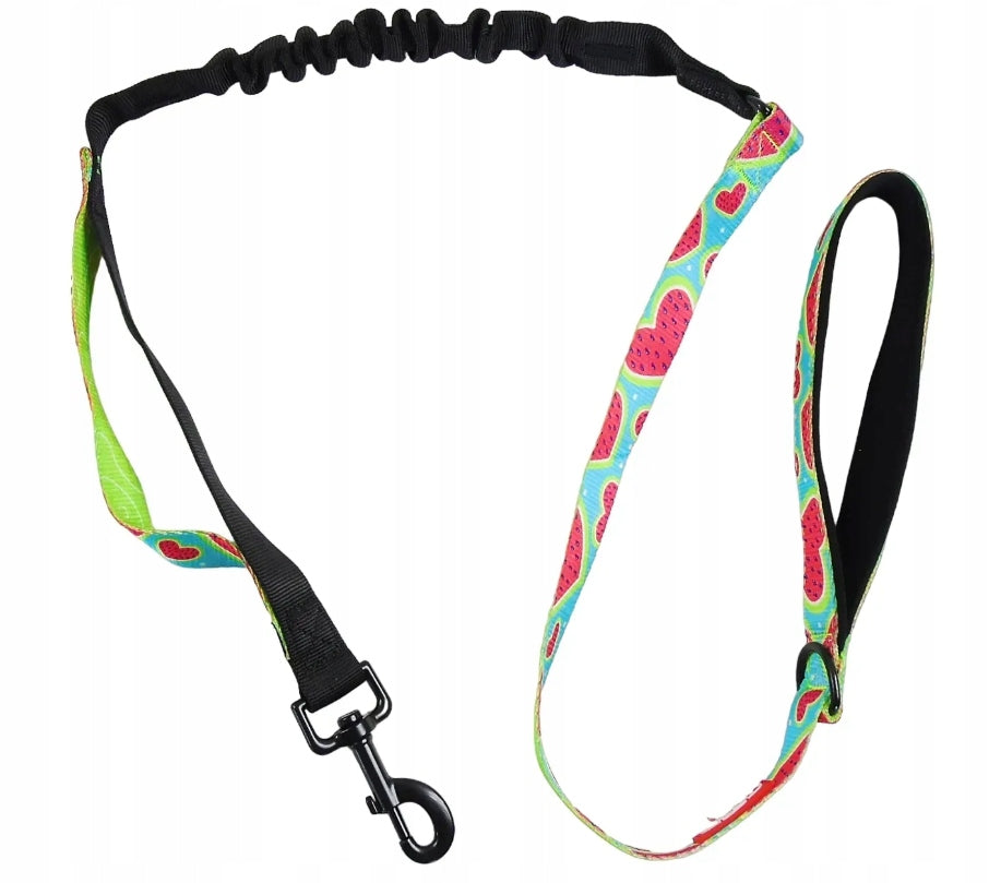 Bicycle RUNNING Lanyard for Dog Shock Absorber + Handle Packaging status original