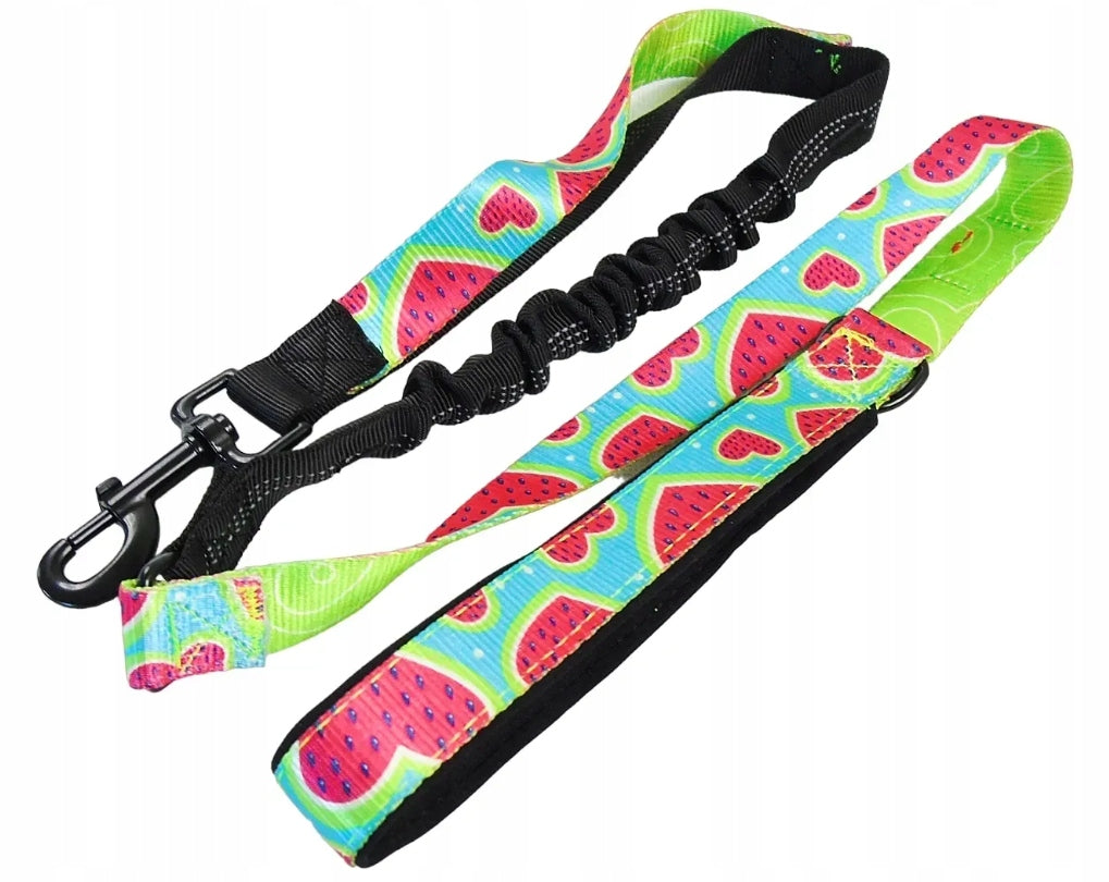 Bicycle RUNNING Lanyard for Dog Shock Absorber + Handle