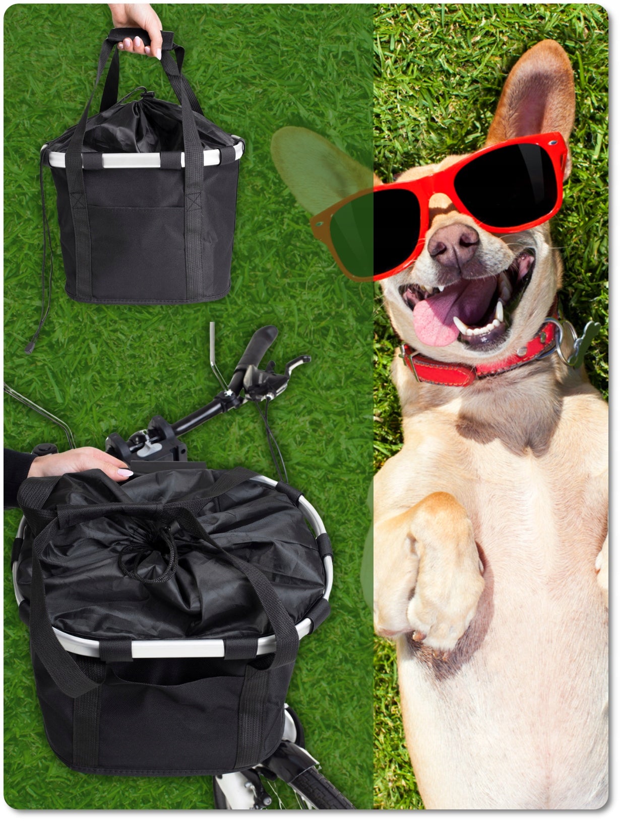 Bicycle TRANSPORTER FOR DOG Animal Cat BASKET FOR BICYCLE + FREEBIE holder Brand no brand