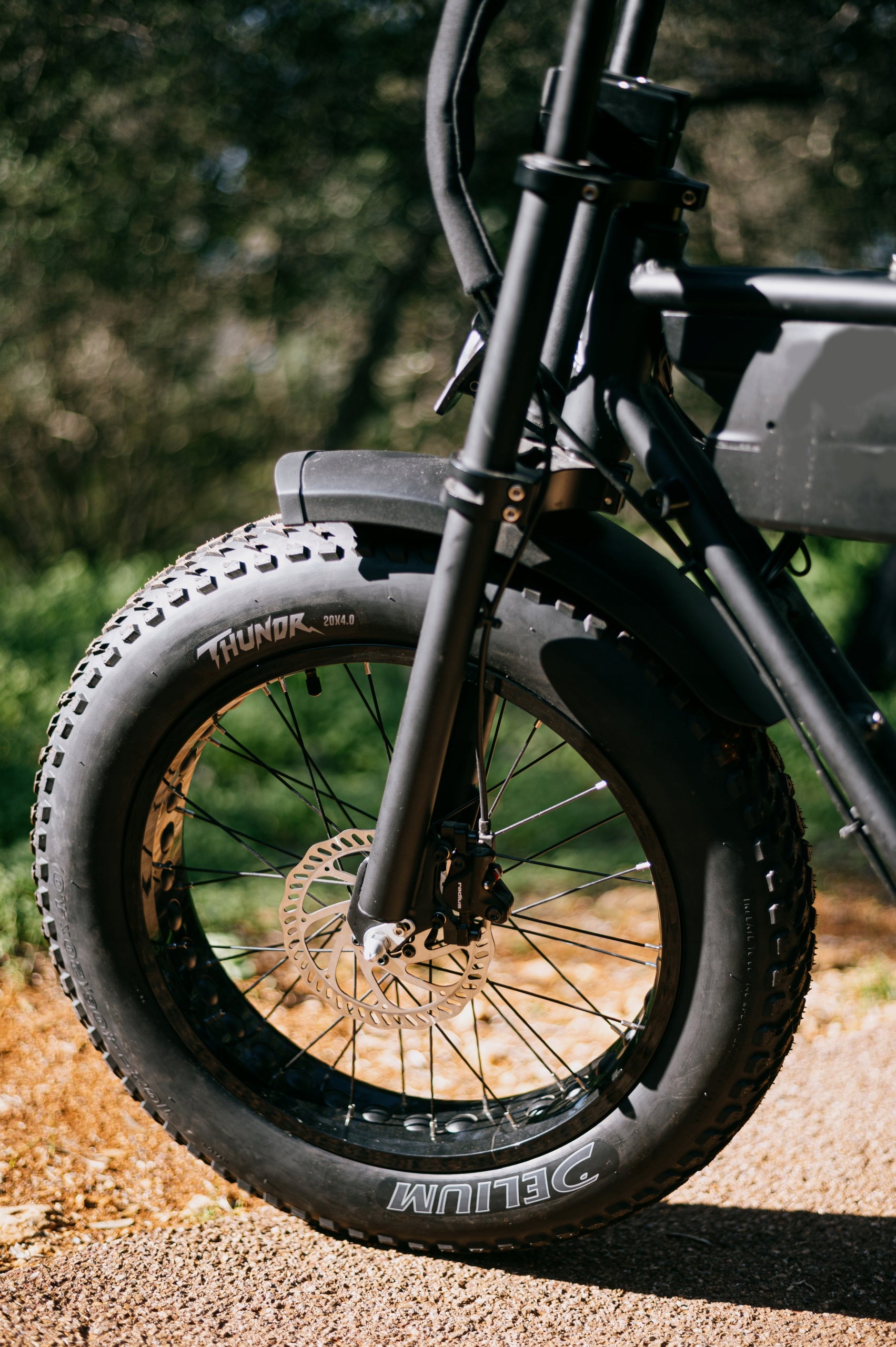 Bicycle tyre DELI 20x4.00 SA-312 Thundr E-bike, Ecargo, Fatbike, Composer Bicycle type BMX, Dirt