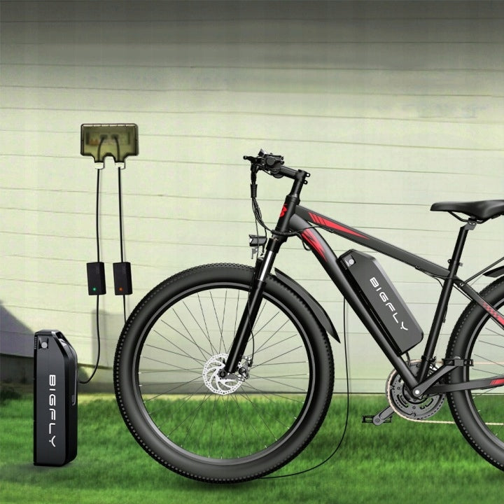 Bike BIGFLY C29 Electric Mountain MTB 29"*2,1" Shimano 21-speed 100HP Model BIGFLY C29