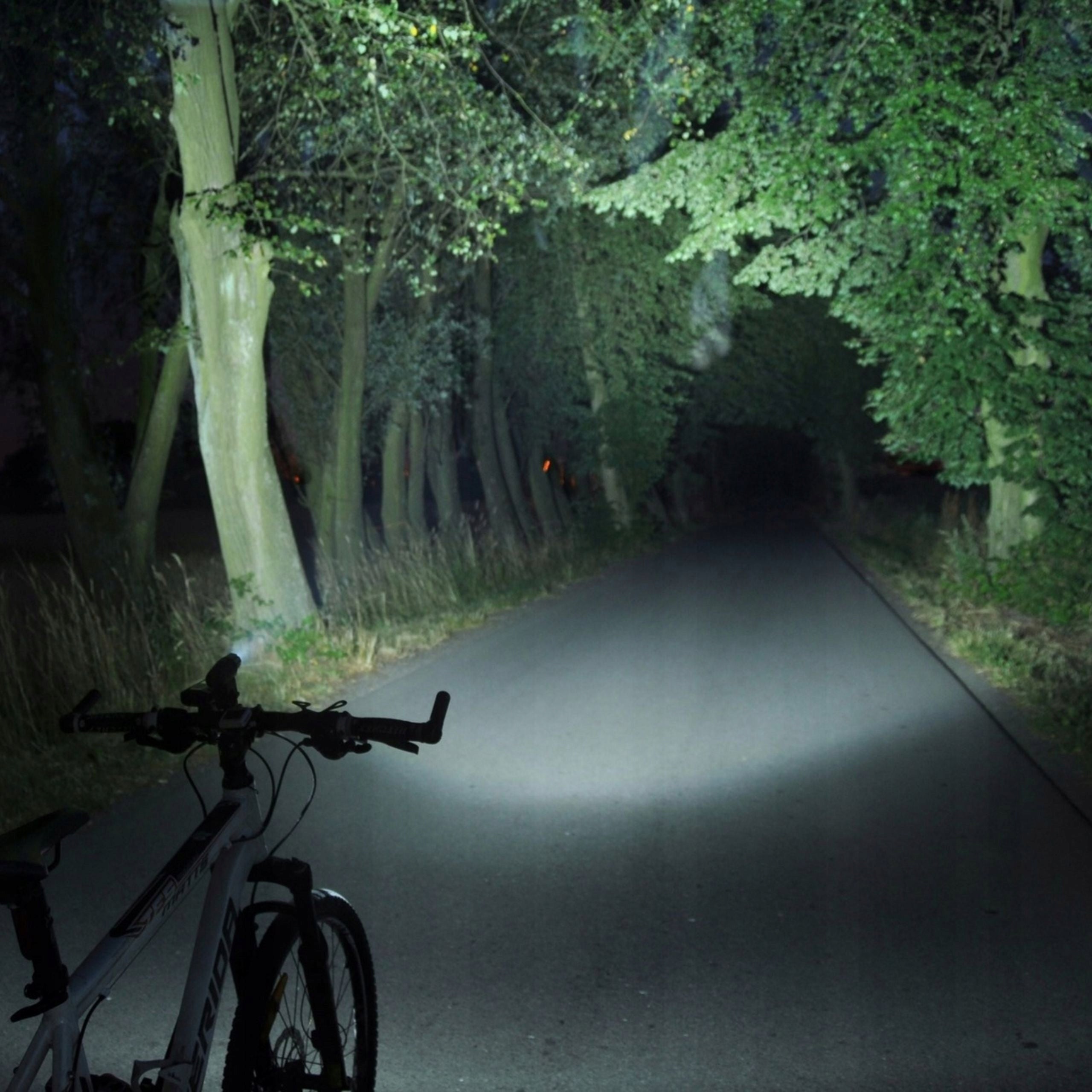Bike Light RAYPAL RPL2256 200LM USB Waterproof Lightweight 4 LED Modes Color black